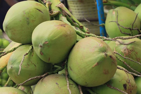 Lavin en färsk kokosnöt — Stockfoto