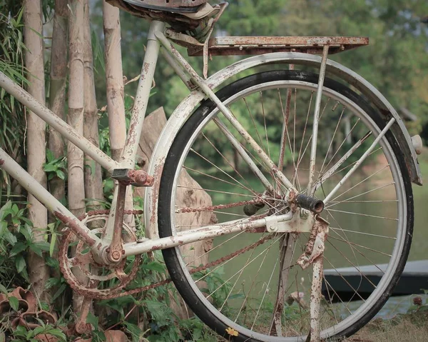 Bicicletas vintage na grama — Fotografia de Stock