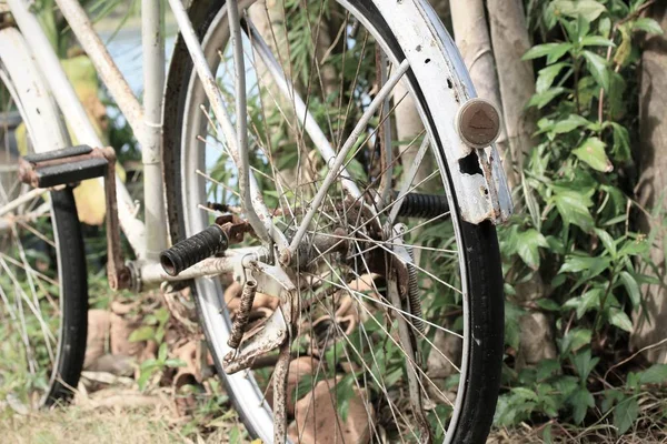 Vintage bicycles on grass — Stock Photo, Image