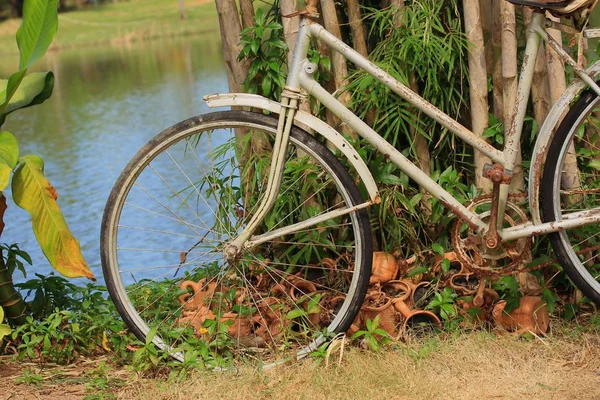 Çimenlerin üzerinde Vintage Bisiklet