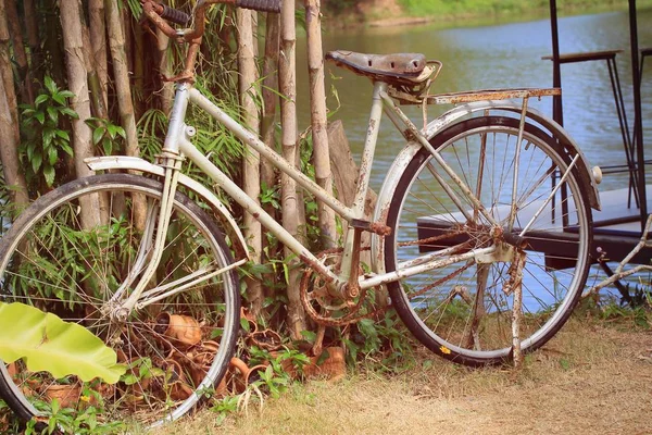 Oldtimer-Fahrräder auf Gras — Stockfoto