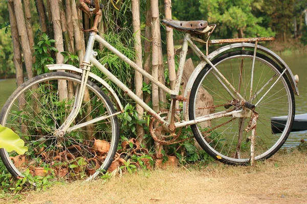 Vintage bicycles on grass — Stock Photo, Image