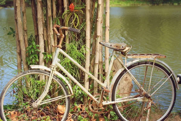 Oldtimer-Fahrräder auf Gras — Stockfoto