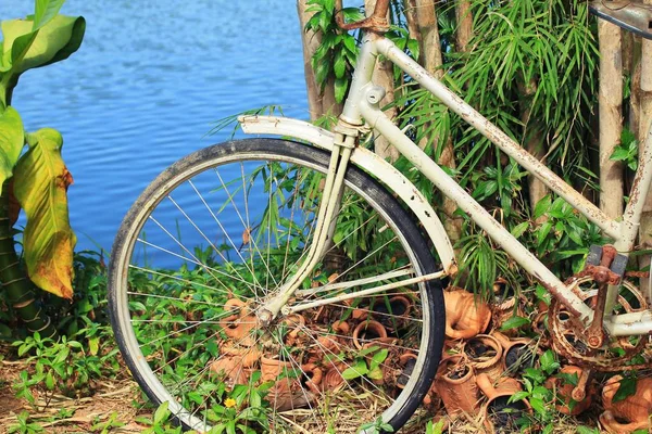 芝生の上のビンテージ自転車 — ストック写真