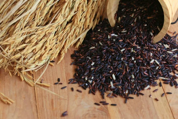 black rice and paddy