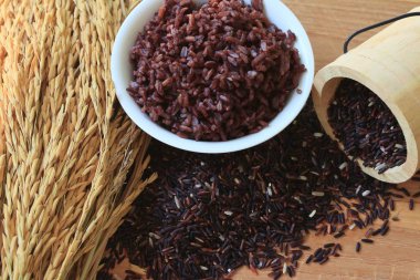 siyah pirinç ve çeltik