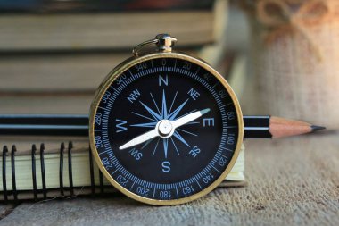 Kuru çiçek ile pusula