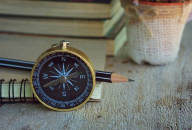 Kuru çiçek ile pusula