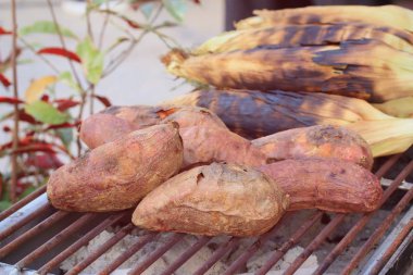 ızgara tatlı patates içinde belgili tanımlık çarşı