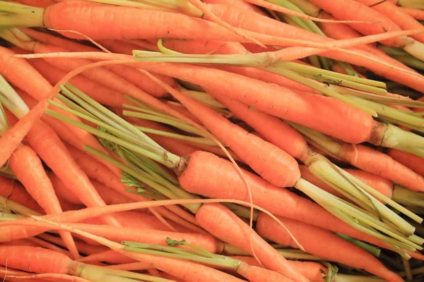 Fresh baby a carrots — Stock Photo, Image