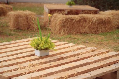 Tahta masadaki çiçekler.