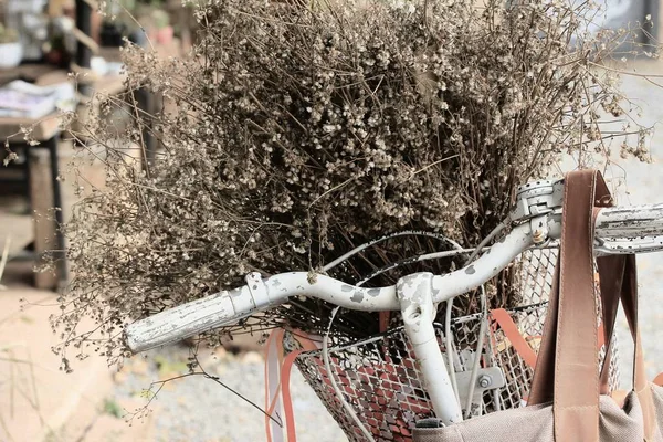 Panier à fleurs séchées vélo — Photo