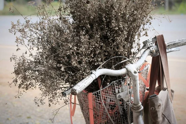 Cesta de flor seca bicicleta — Fotografia de Stock