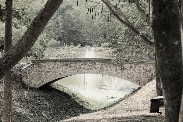 Il fiume ponte nel parco — Foto Stock