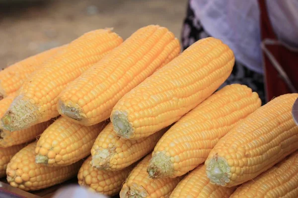 Faire bouillir le maïs au marché — Photo