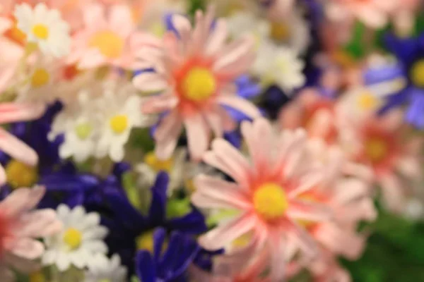 Sfocato bei fiori sfondo — Foto Stock