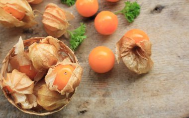 Çok cape bektaşi üzümü