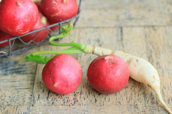 Radis rouges frais et blanc — Photo