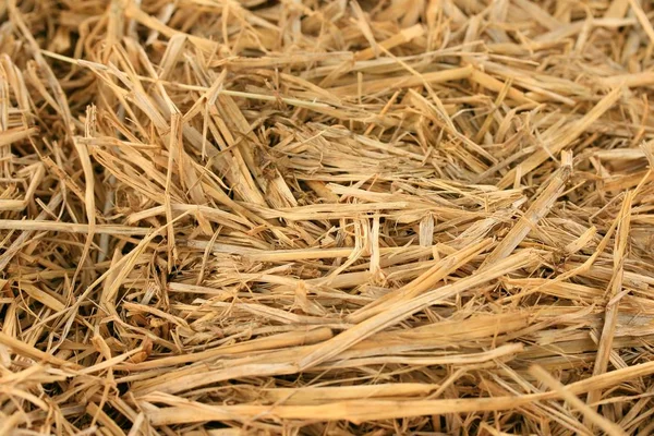 Stro stapel landbouw boerderij — Stockfoto