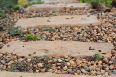 Parkta yürüyüş yolu