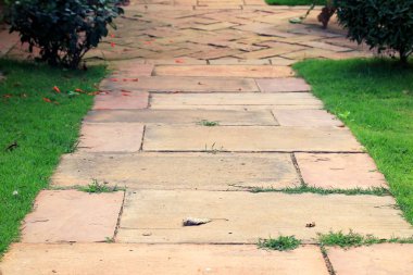 Parkta yürüyüş yolu