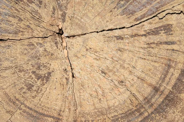 Velha madeira vintage fundo — Fotografia de Stock