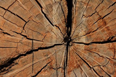 eski ahşap antika arka plan