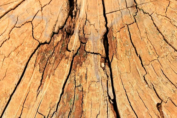 古い木製ヴィンテージ背景 — ストック写真