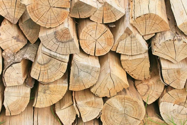 Timber on the farm — Stock Photo, Image