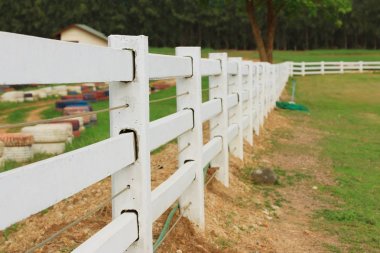 Çiftlikte beyaz çit