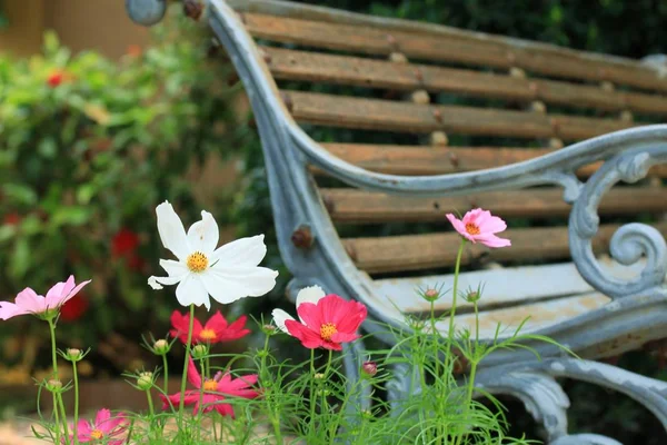 Silla en el parque — Foto de Stock