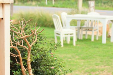 Beyaz ahşap çim tablo