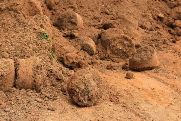 Heap bodem in de natuur — Stockfoto