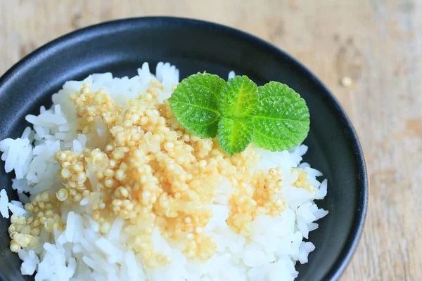 Vařená rýže a quinua — Stock fotografie