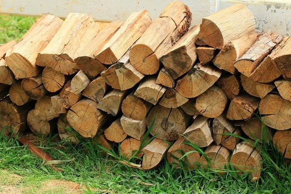 Mnoha hromady dřeva — Stock fotografie