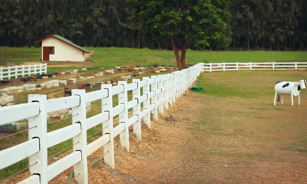 Cerca blanca en la granja —  Fotos de Stock