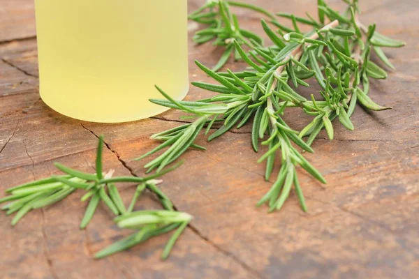 Rosemary herbs with oil Stock Photo