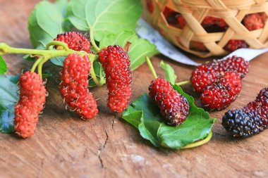 taze organik dut meyve