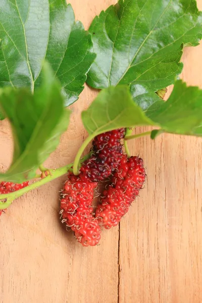 Fresh organic mulberry fruit — Stock Photo, Image