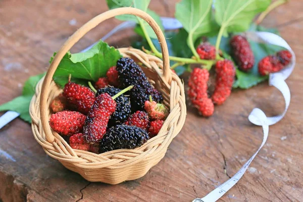 Fresh organic mulberry fruit — Stock Photo, Image