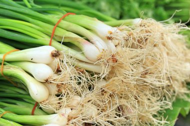 Markette taze soğan