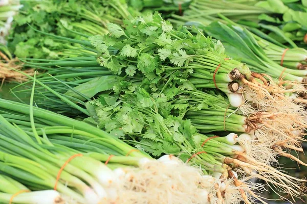 Spring onion at the market — Stock Photo, Image