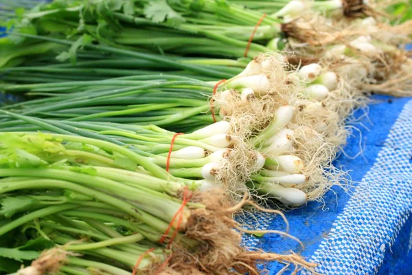 Spring onion at the market — Stock Photo, Image