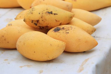 piyasada olgun mango