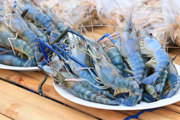 Crevettes au marché — Photo