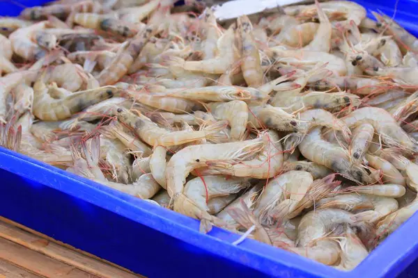 Garnalen op de markt — Stockfoto