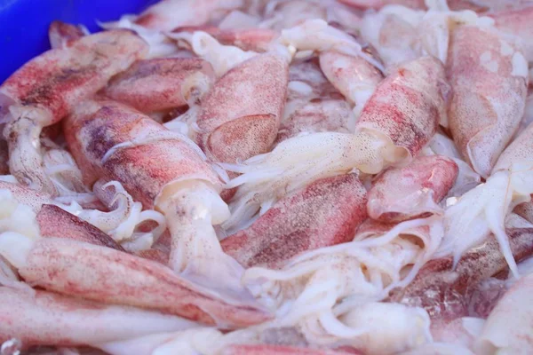 Squid op de markt — Stockfoto