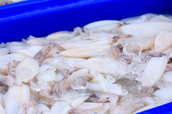 Squid op de markt — Stockfoto