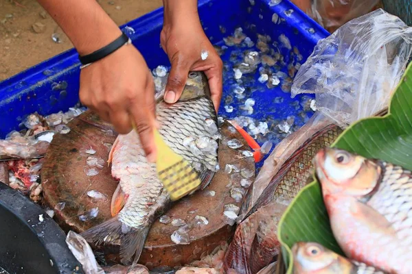 Fisk på marknaden — Stockfoto