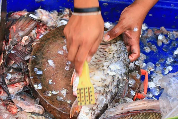 시장에서 잡은 물고기 — 스톡 사진